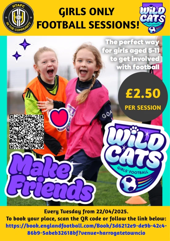 Wildcats Promo Poster Rossett 25
